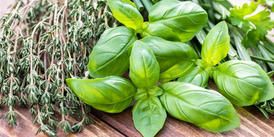Kräuter für leckere Aromen Kräuter für leckere Aromen