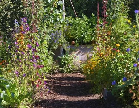 Gartengestaltung - Bauerngarten Gartengestaltung - Bauerngarten